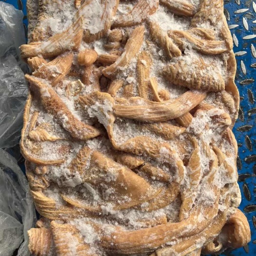 新疆育肥牛大肠精修无油纯干半熟出成率高适合牛杂火锅 全国发货