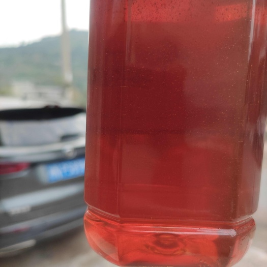 特等中药五倍子花蜂蜜，农家蜂场直发，真正的纯成熟蜂蜜