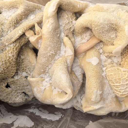 郑州国产全水煮牛肚，水退纯干无碱发牛肚，原色原味带金钱肚