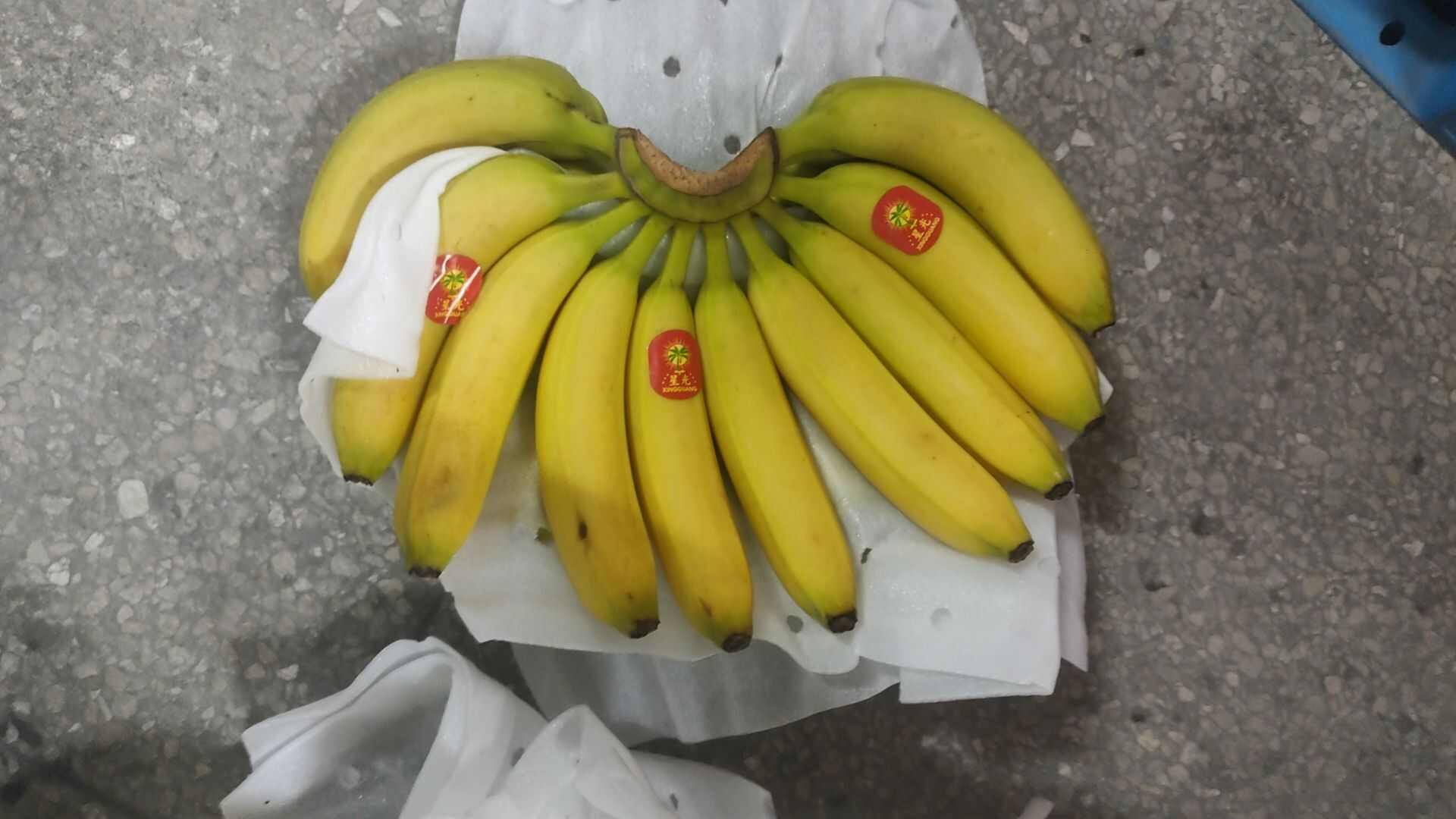 二级蕉，无黑心，无花皮，软糯香甜，量大优惠
