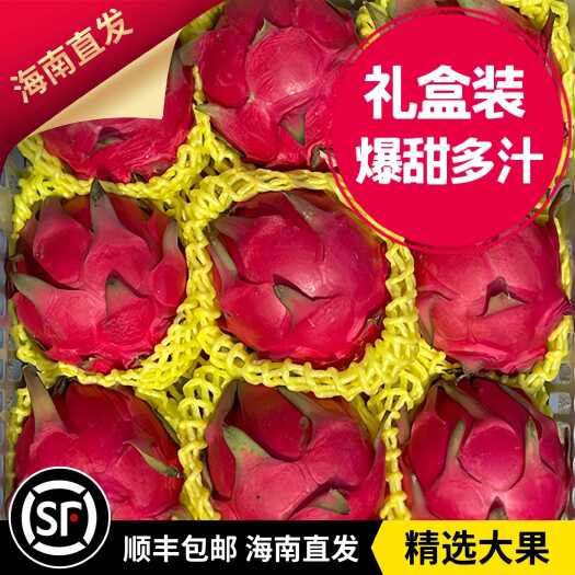 海口正品海南金都一号红心火龙果超甜应季新鲜水果整箱批发价