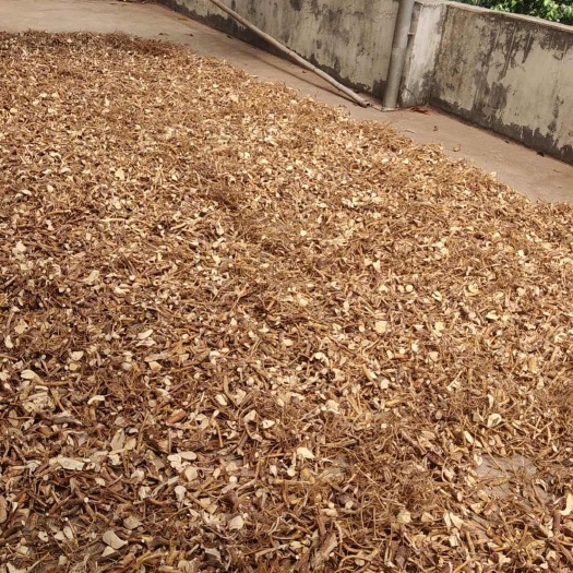荔浦市瑶山妹子纯～生五指毛桃干货新货，大量供应，香味浓郁，有现货