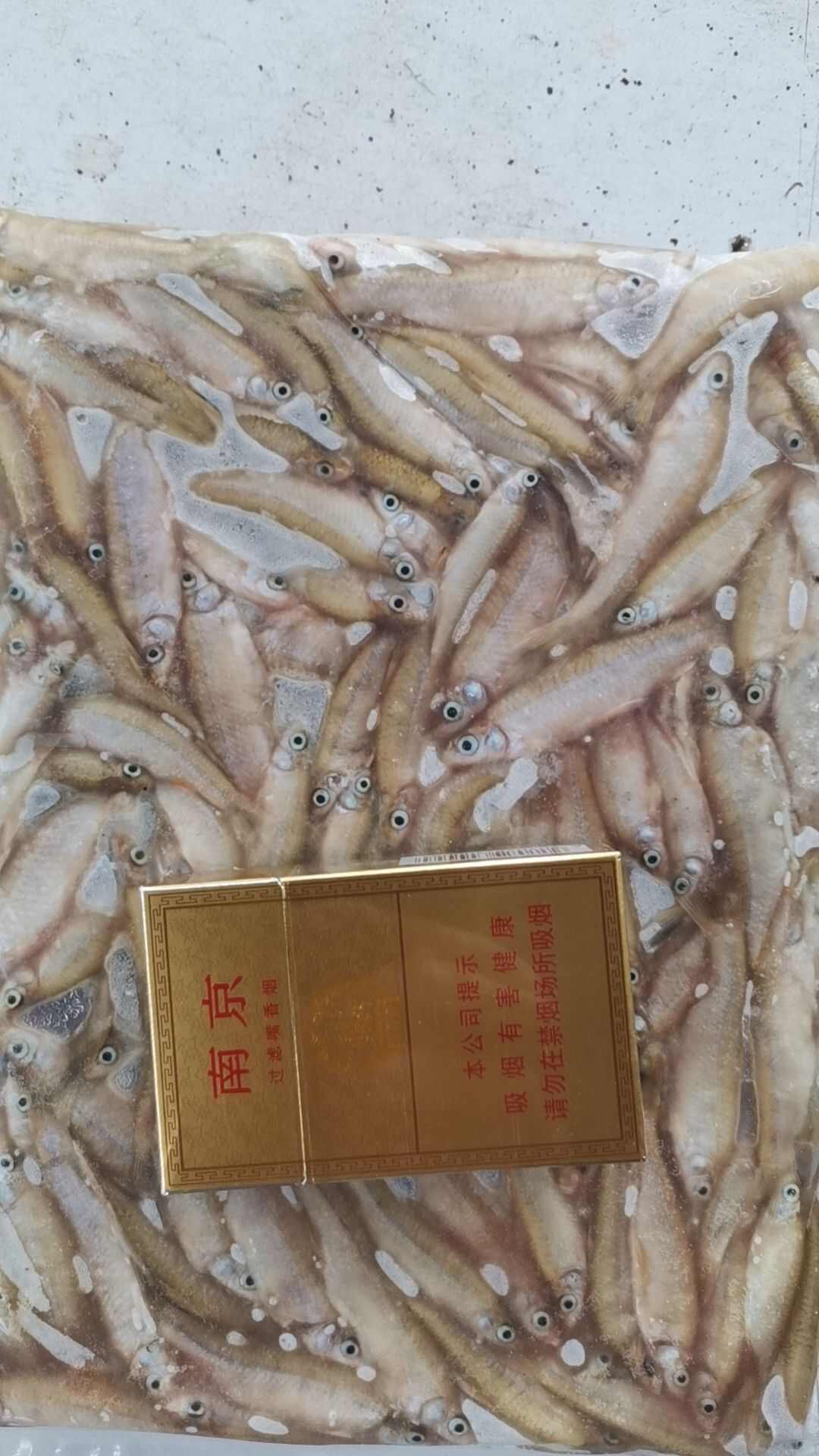 【推荐】开肚麦穗鱼麻鱼5-7公分，产地发货，质量保证