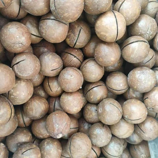 喀什市新疆夏威夷果原味坚果一件代发