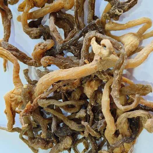陇西县鸡头黄精