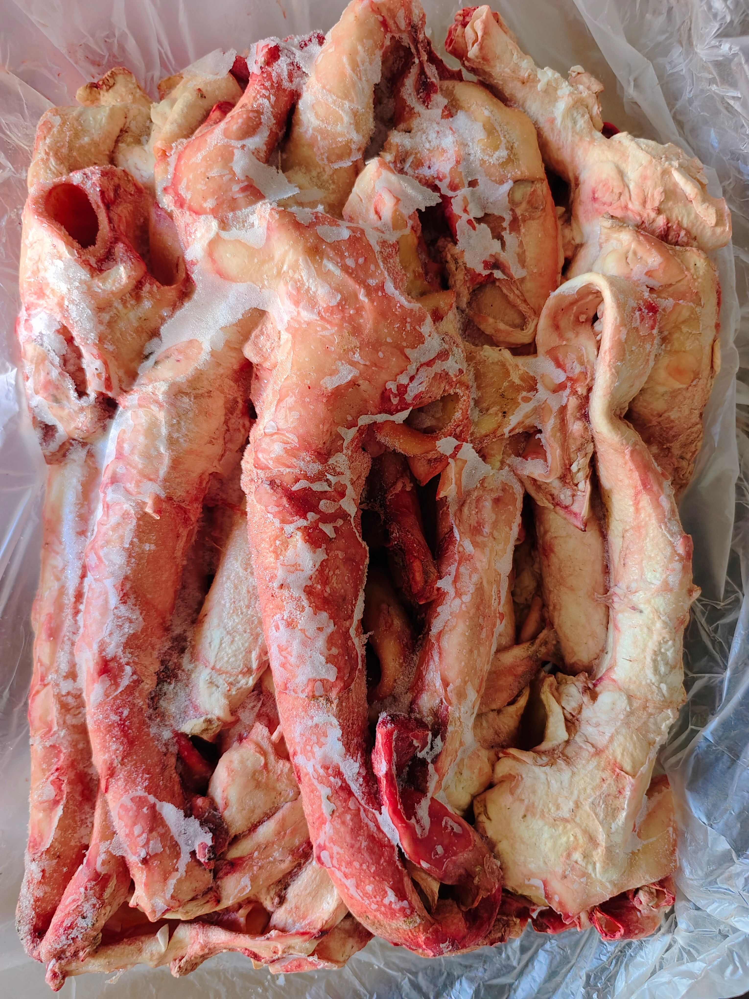 锡林浩特【牛心管】当地黄牛的心血管，新鲜速冻！不做精修！全国发货