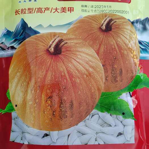 北屯市金禾太甲