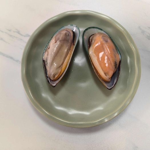 青口贝