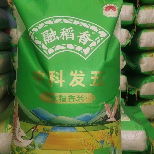 黑龙江齐齐哈尔泰来县大米中科发五号