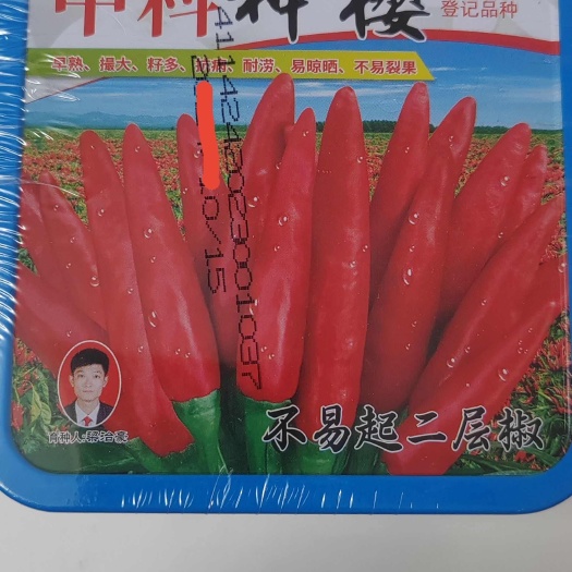 辣椒种子，中科神樱早熟、撮大、耐涝、易晾晒、不易裂果
