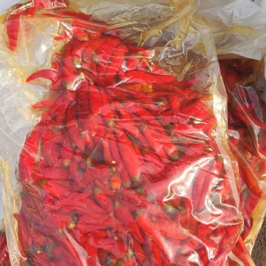 单县泡红米椒，杭椒，美女椒，加工厂直供