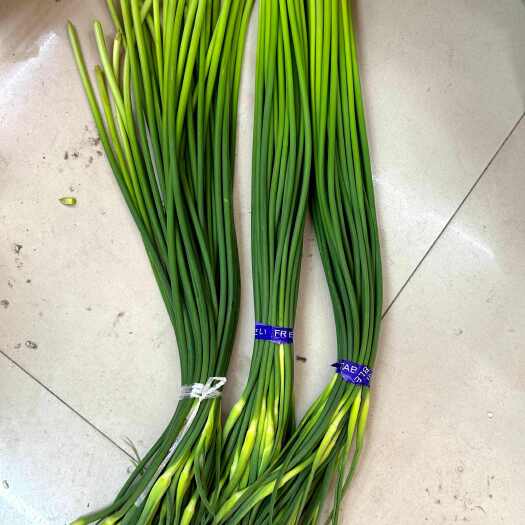 金鄉(xiāng)縣白冒蒜苔 大量供應(yīng) 價(jià)格便宜 產(chǎn)地直銷 沒有任何費(fèi)用
