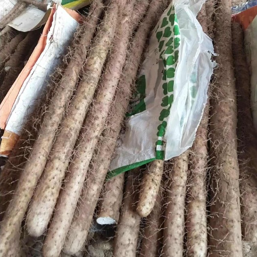 绛县产地直销  白玉山药 糯 棉 微甜