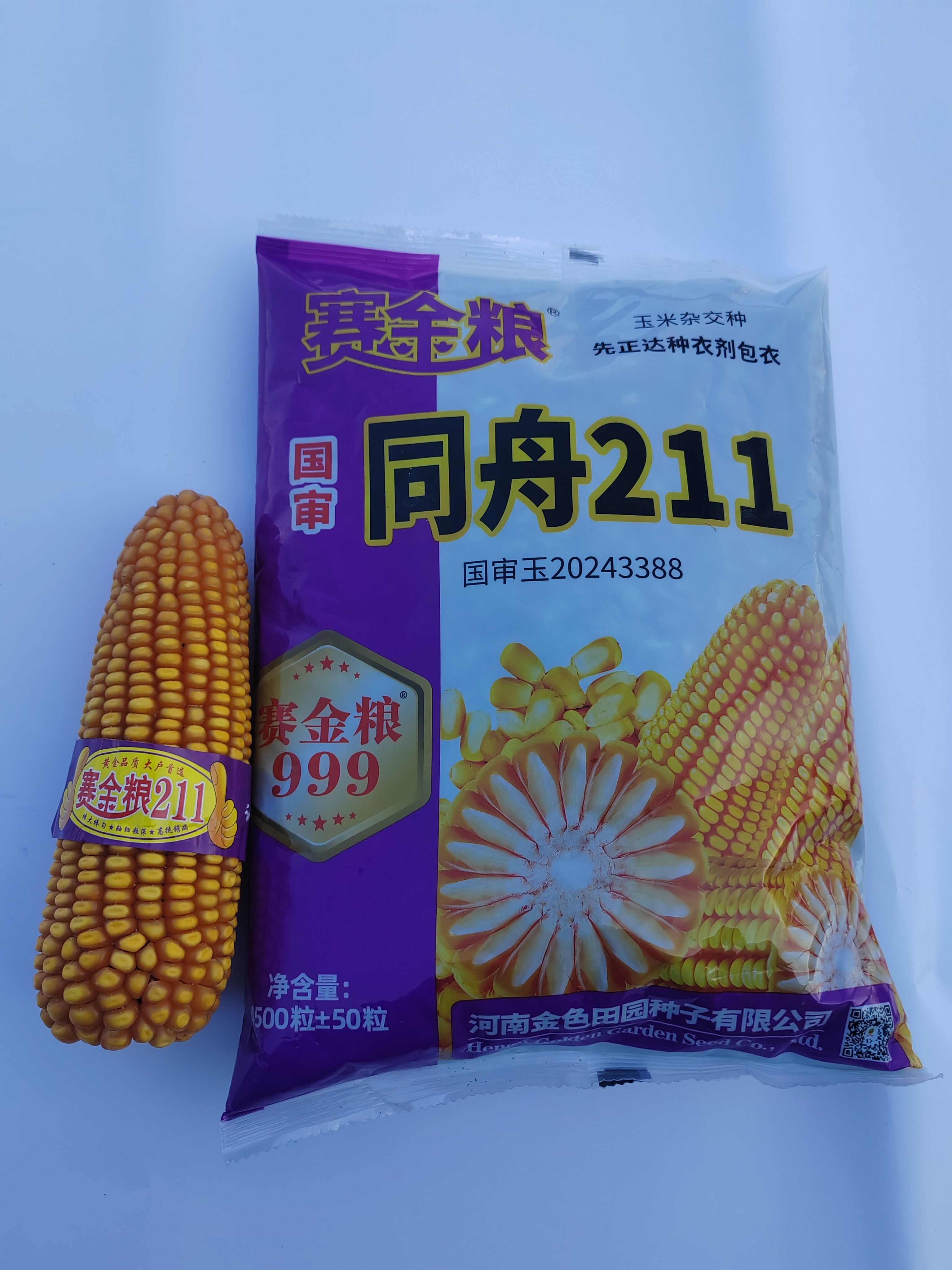 赛金粮211玉米种最新国审白轴大穗玉米种