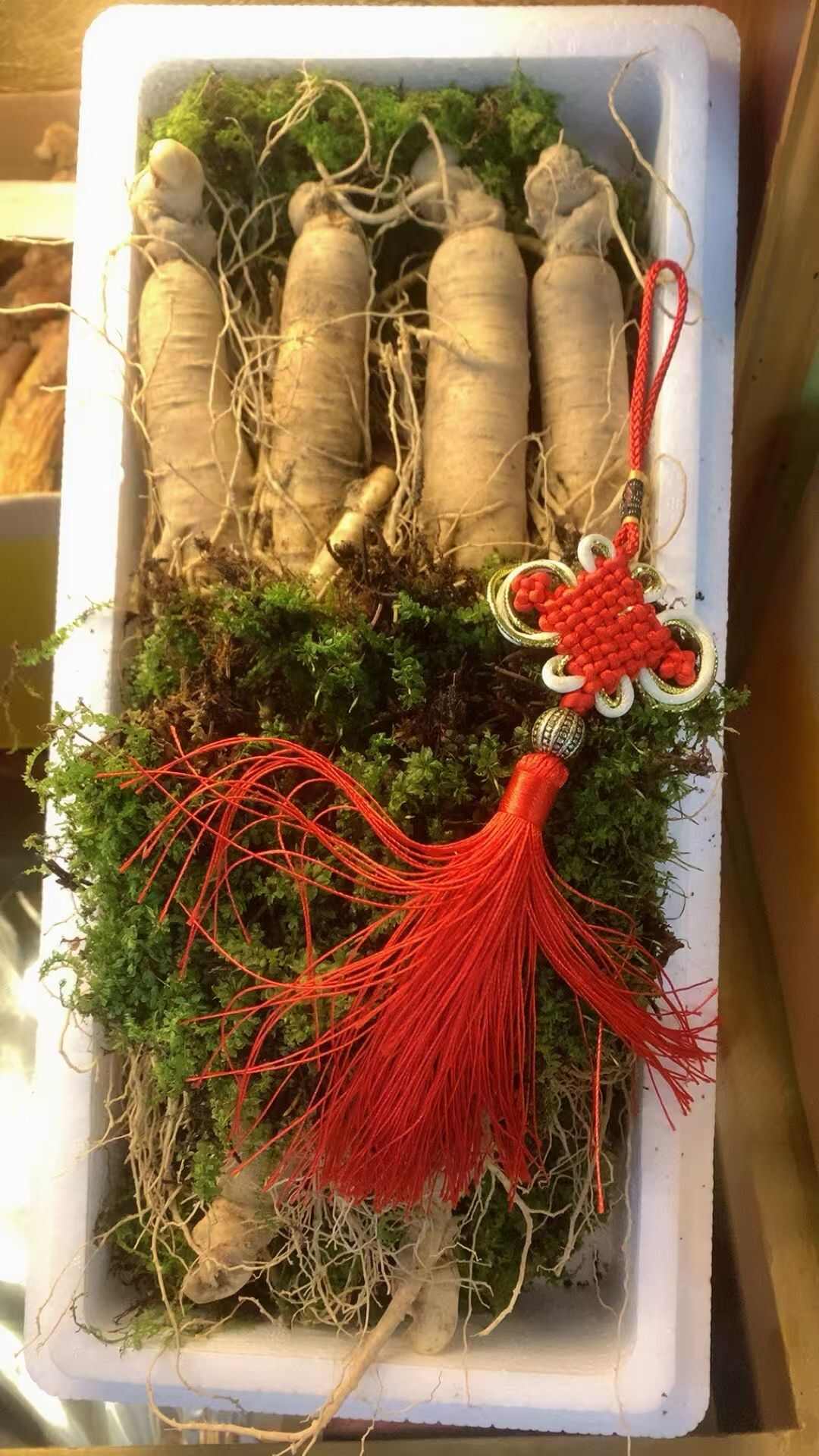 园参