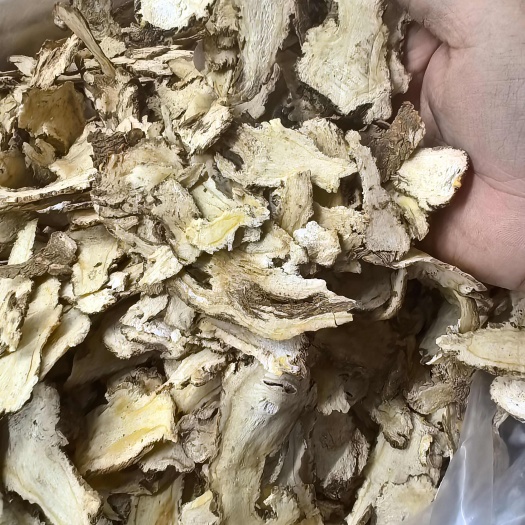深圳甘肃当归