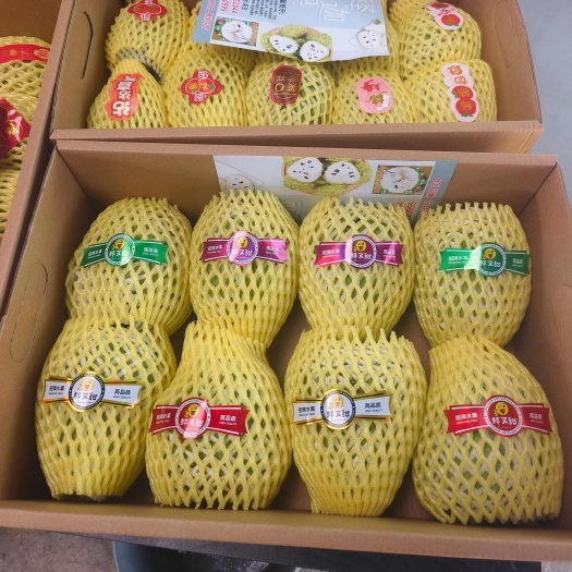 鹤山市AP释迦果