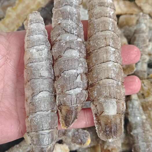 东港市虾爬肉