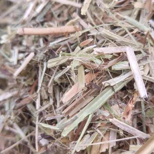 正阳县牛羊草料花生秧正在加工出货没有任何杂质需要的请抓紧联系我
