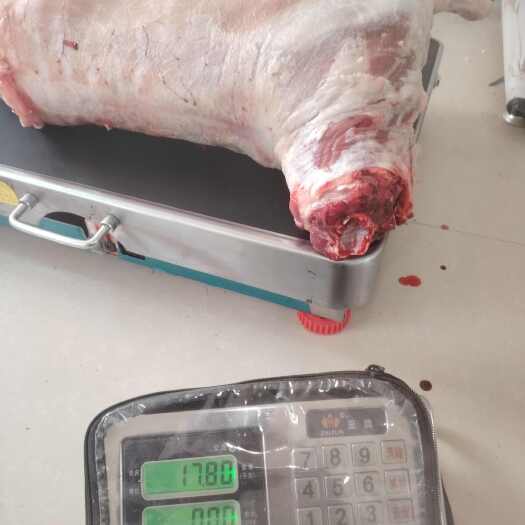 乌前旗羊肉