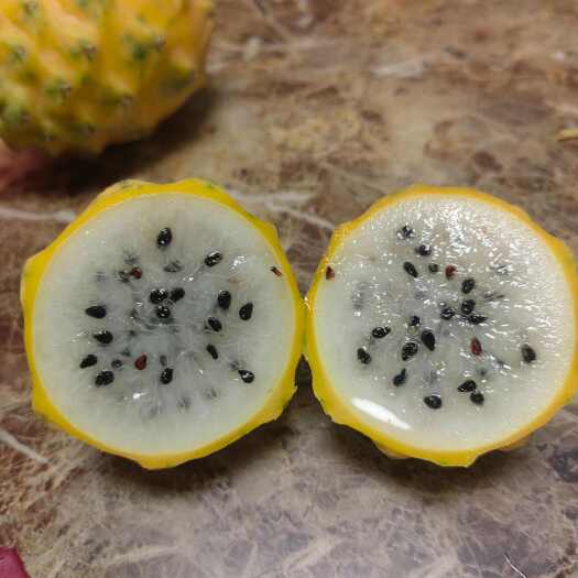江门燕窝果