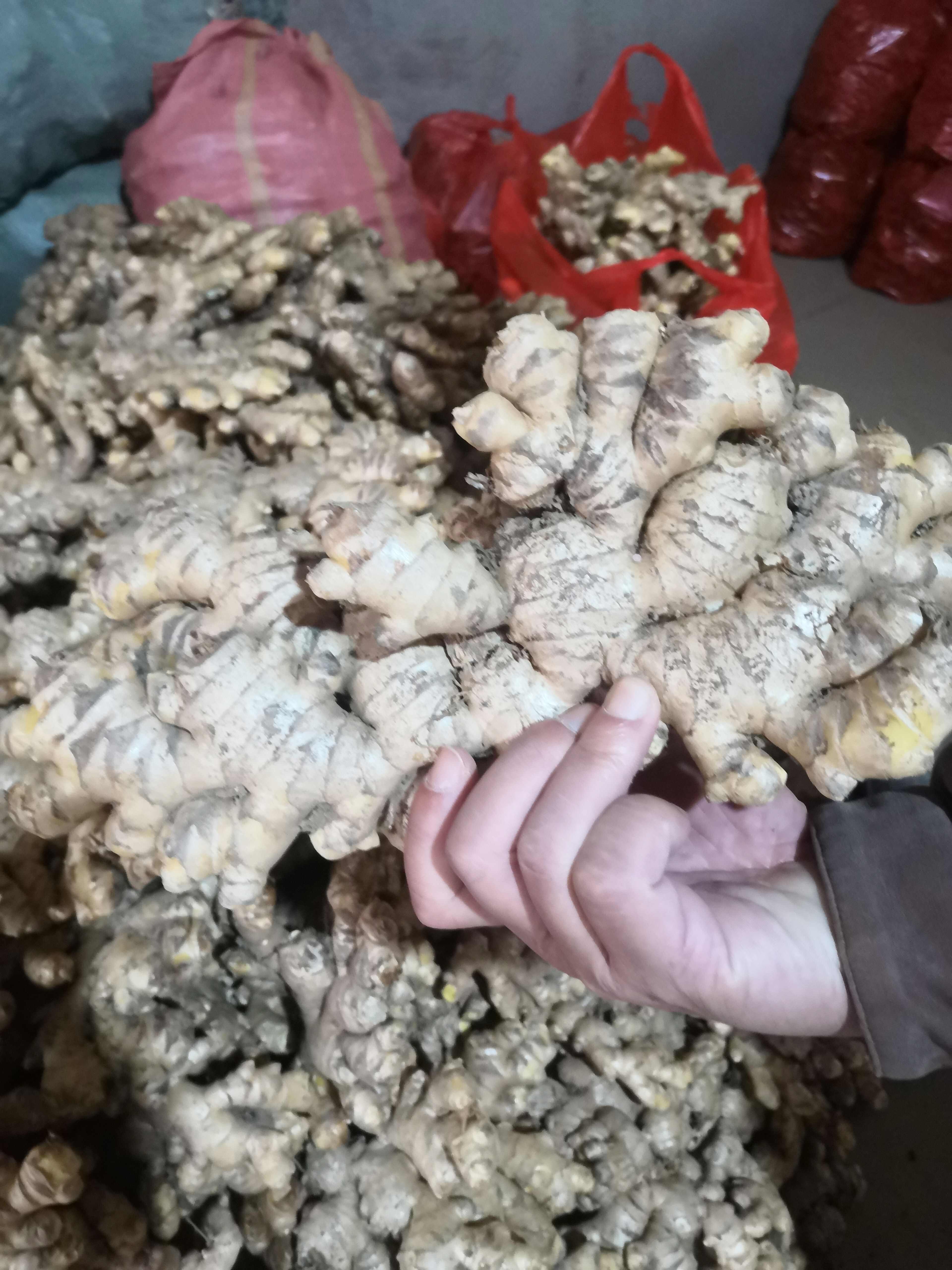 云南小黄姜生姜老姜电商货市场货精品姜
标价是零售价批发更便宜