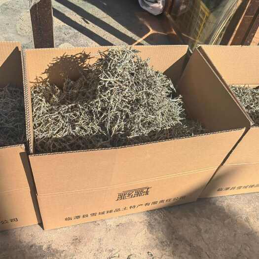 临潭县野生鹿角菜干货甘肃甘南原产地4箱/斤