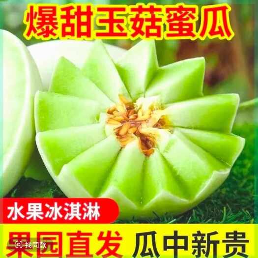 乐东县头茬海南玉菇冰淇淋甜瓜蜜瓜新鲜孕妇水果包邮3斤+【甜瓜甜