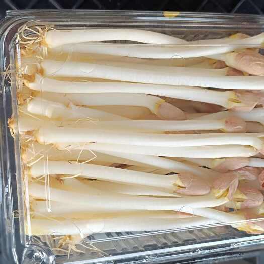 太湖县新鲜花生芽 高品质农产品 绿色健康食尚选择