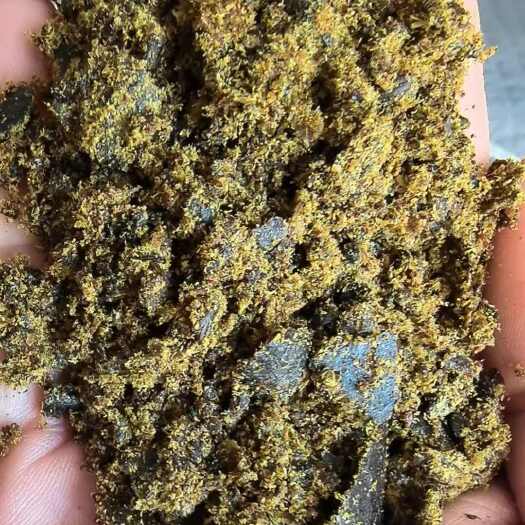 正定县膨化棉籽饼