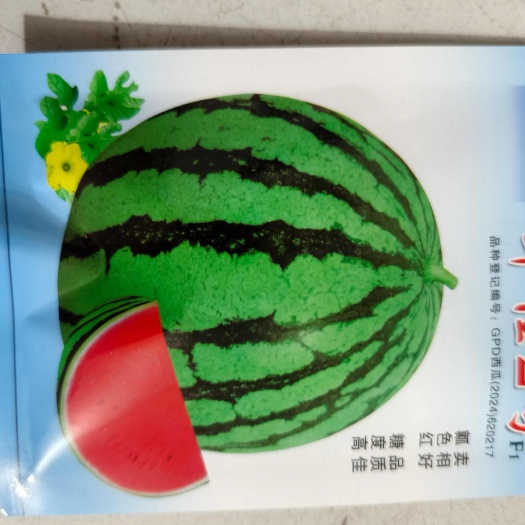 郑州大红瓤西瓜种子