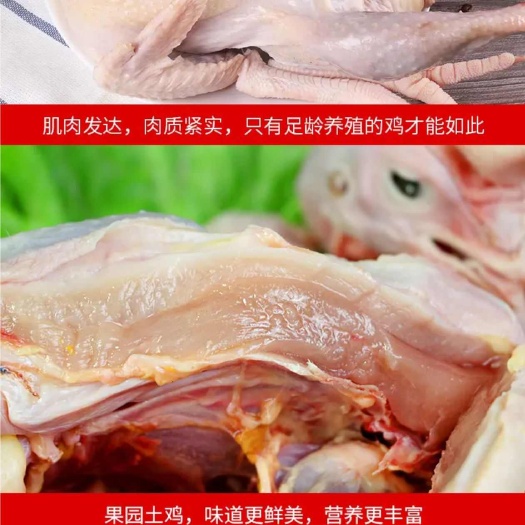 京山散养老母鸡，吃五谷杂粮长大，适合煲汤，鸡油金黄，汤鲜味美
