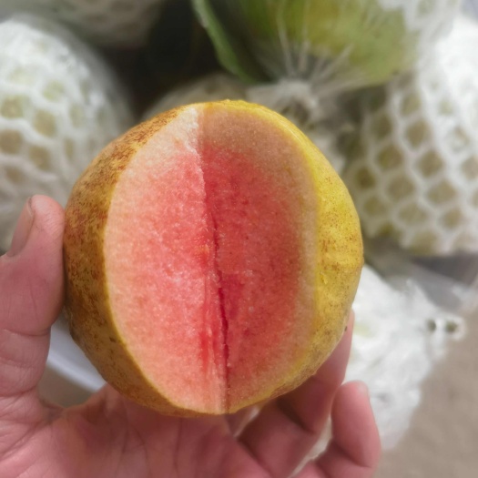 信宜市酸野爆品