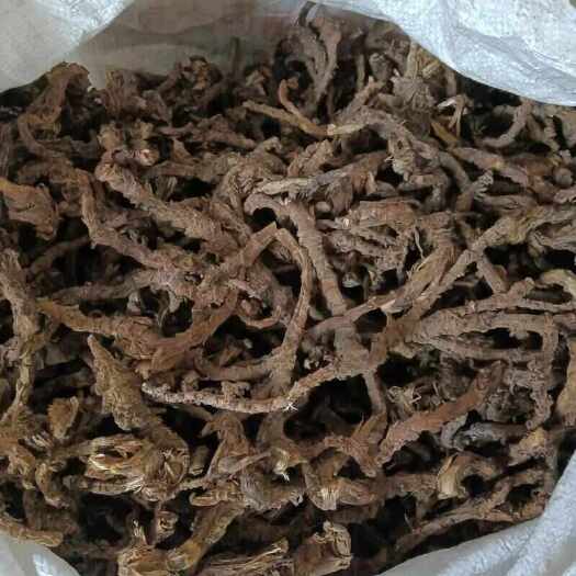 东源县大自然的 新鲜/干货石菖蒲（量大）
