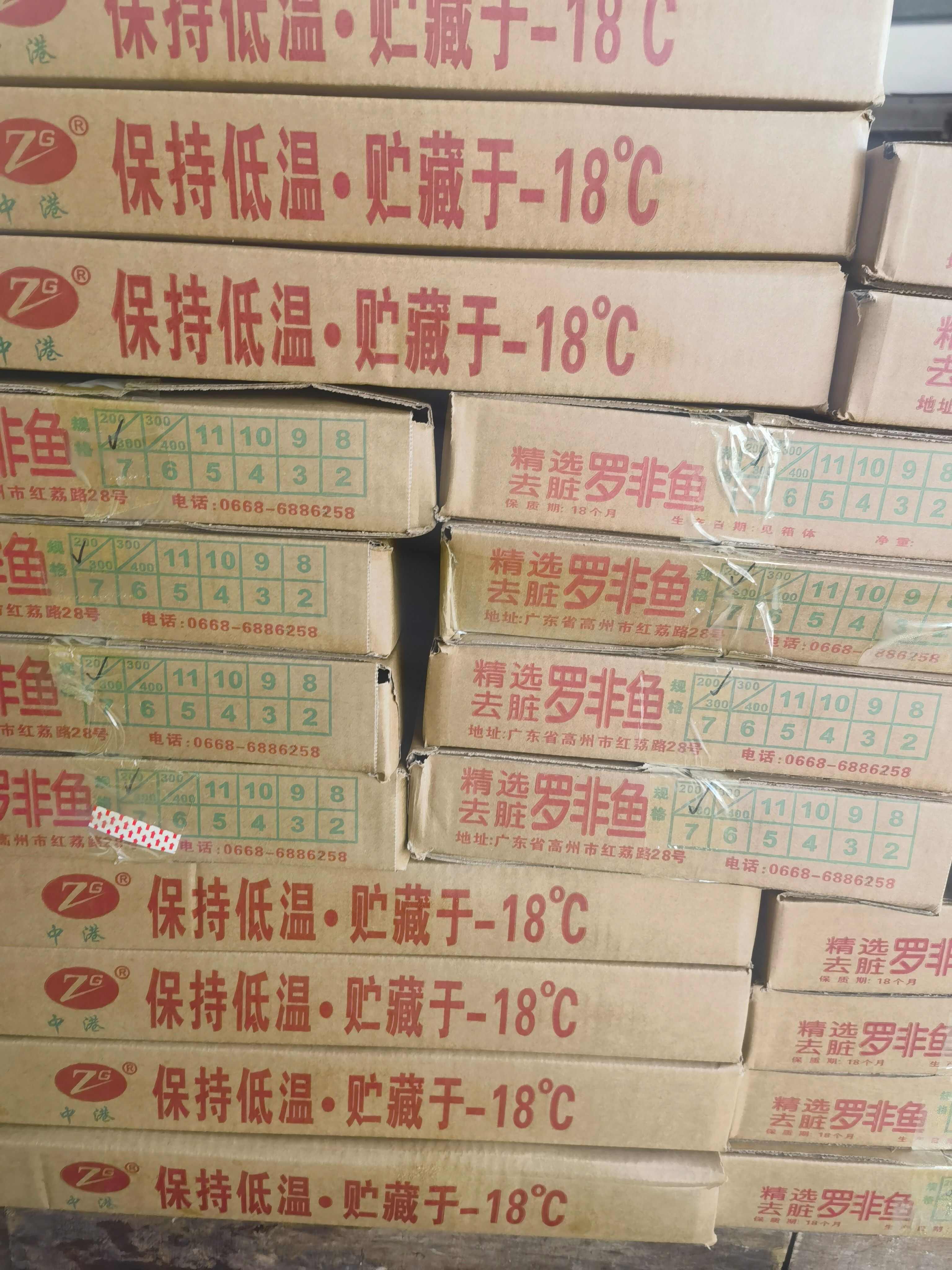 三去罗非鱼，去鳞去腮去内脏，冷冻鲜罗非鱼，适用于食堂，快餐