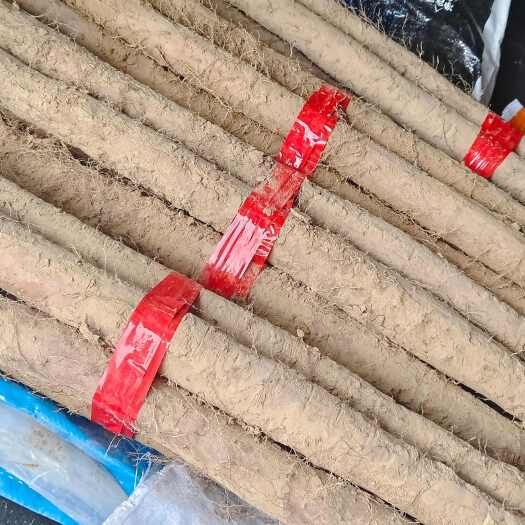 大名县赶集货开始装车产地直发