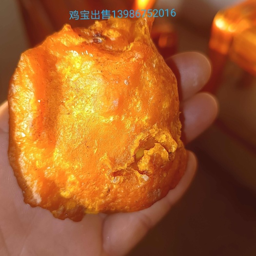 长阳县鸡宝