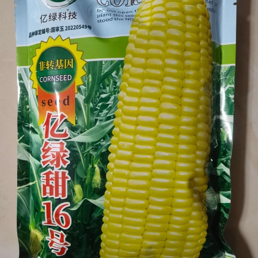 济南亿绿甜16号黄色甜玉米种子