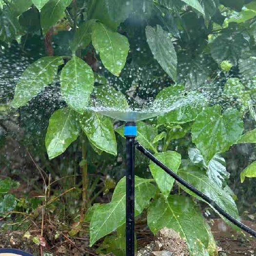 昌乐县果树可调18厘米地插微喷套装47毛管微喷头自动灌溉槟榔树抗旱