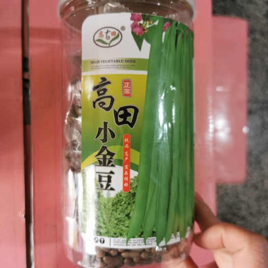 怀化高田小金豆种子原装罐1斤红花四季豆种子原装