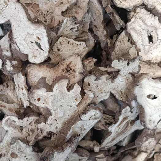 亳州白术中药材白术片亳白术片产地直销各种规格批发零售价格优惠包邮