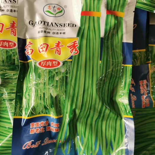 怀化高田青秀长豆角种子原装正品结荚率高顺直无鼠尾耐老
