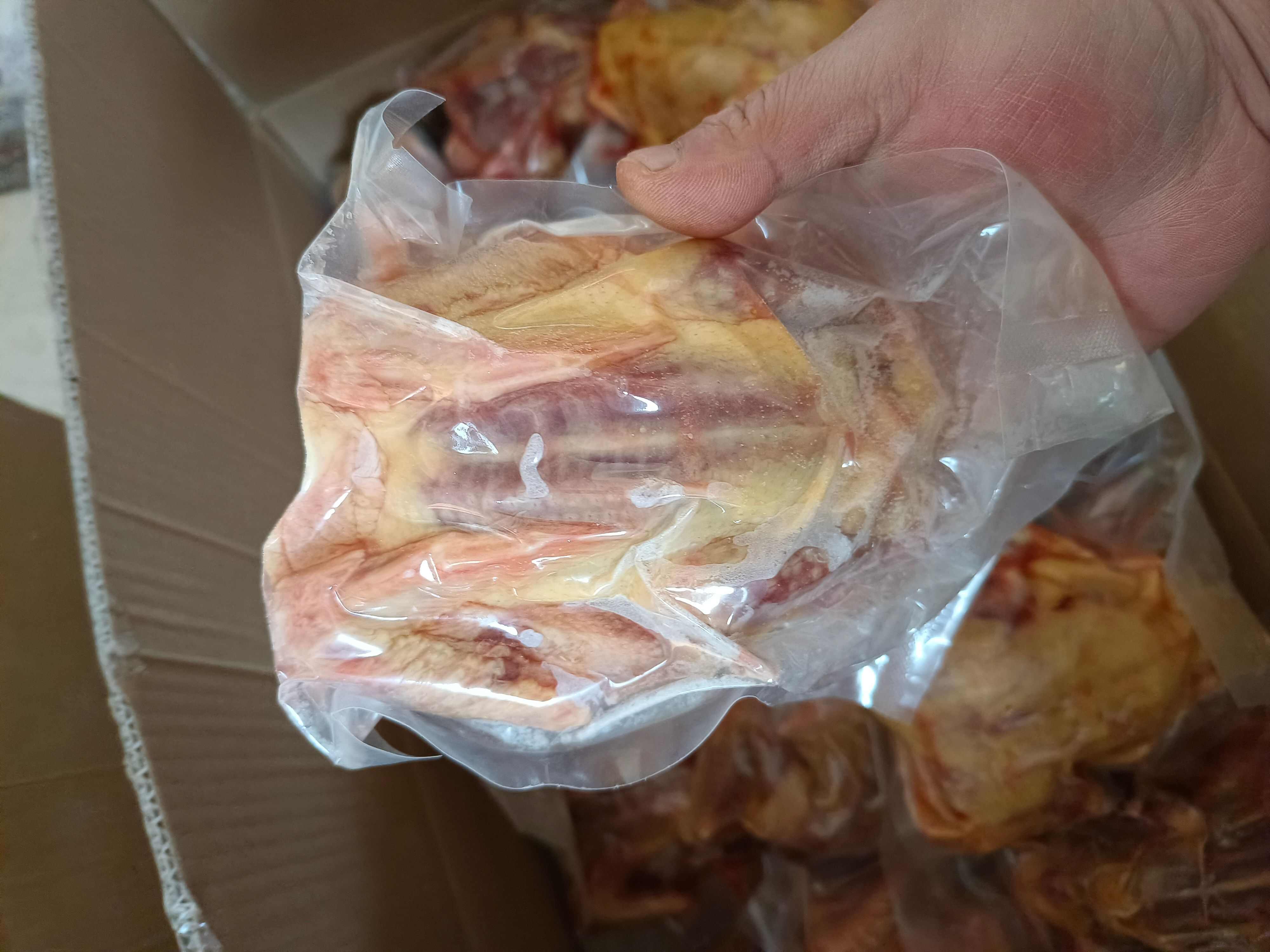 白条鸽  大量提供老鸽乳鸽 ，