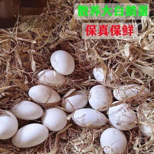 海城市东北散养大鹅蛋