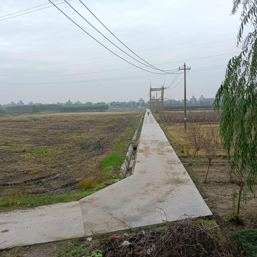 杭州约1500亩土地寻找种植户