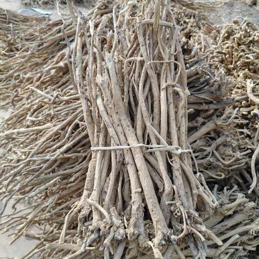 黄芪批发多年生长含量高自然晒干黄芪中条货