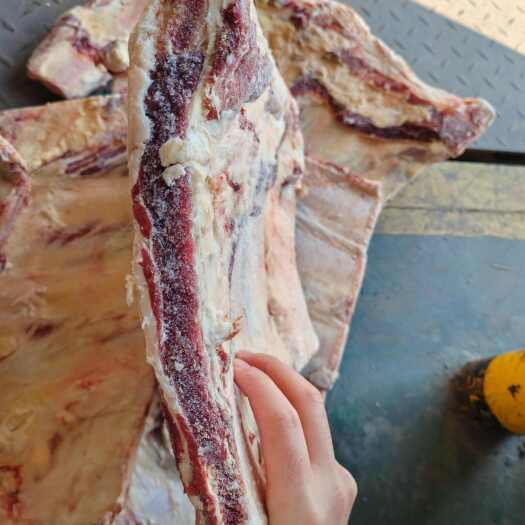 临沂牛肋排20吨含肉量高   品质漂亮