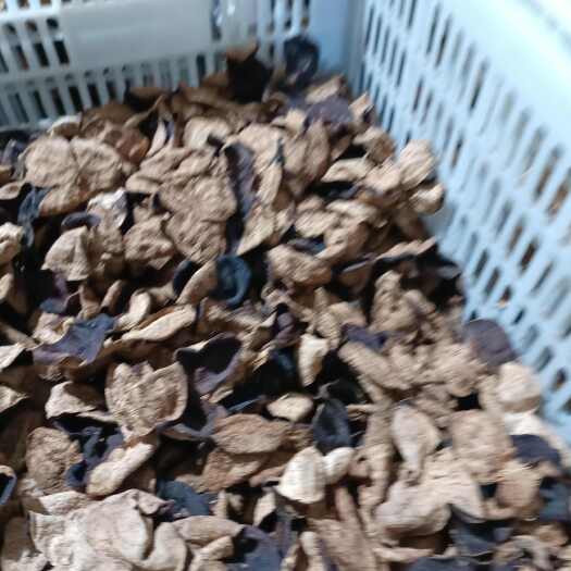 江门会大红陈皮