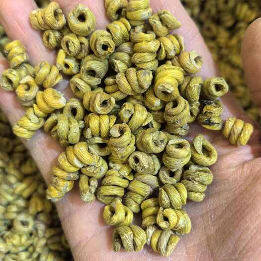 昆明霍山铁皮石斛，胶质好，全化渣
