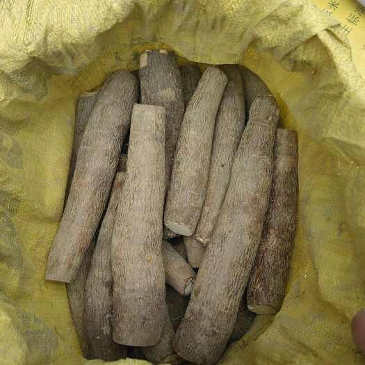 东兴市广西防城港新鲜黄肉木薯现挖现发自然健康美味